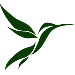 Hummingbird Design and Remodel Logo